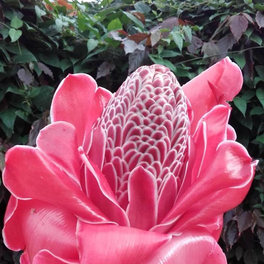 Albergaria Porcelana Sao Tome Ngoại thất bức ảnh